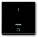 ИК-приёмник с маркировкой "I/O" для 6401 U-10x, 6402 U, серия solo/future, цвет антрацит