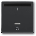 ИК-приёмник с маркировкой "I/O" для 6401 U-10x, 6402 U, серия solo/future, цвет manhattan/графит