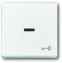 Клавиша для механизма 1-клавишного выключателя/переключателя/кнопки, с прозрачной линзой и символом "КЛЮЧ", серия solo/future, цвет davos/альпийский белый