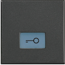 Axolute Клавиши с подсвечиваемыми символами для выключателей в дизайне AXIAL - 2 модуля, ключ, цвет антрацит