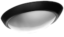 LL Eliptic  1x100W E27 Светильник накладной черн.(овал, мат.стекло) IP44