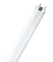 Люминесцентная  лампа высокой эффективности LUMILUX L 36W/76-1 10X1 LF OSRAM