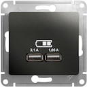 Розетка USB Glossa (2xUSB, под рамку, с/у, антрацит)