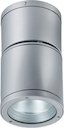 NSD 10 HG70 (60) silver светильник