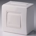 ДКС 10002 Коробка в сборе с выключателем, белая DKC