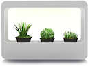 Светильник светодиодный "Фито-сад" MG004 для растений с адаптером 24В 480х320х138 "Basic" Gauss MG004